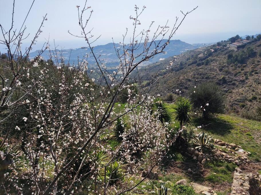 Detached House With Garden And Sea View Affittacamere Sanremo Esterno foto